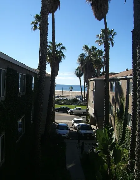 2307 Ocean Ave #220 — Photo 6