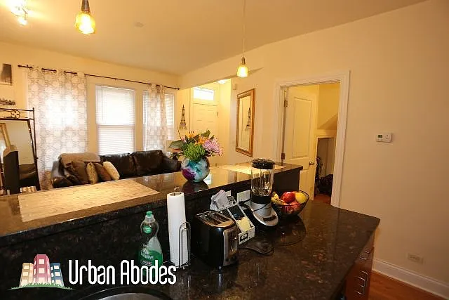 1738 W Altgeld St #1F — Photo 6