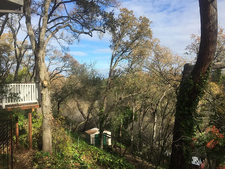 110 Rock Ravine Ct — Photo 28