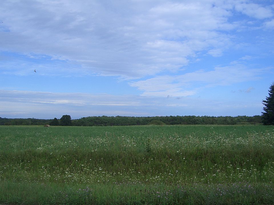 2nd image of Viste Rd