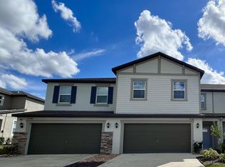 32100 Pop Ash Pl, San Antonio, FL 33576