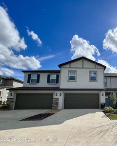 32100 Pop Ash Pl, San Antonio, FL, 33576