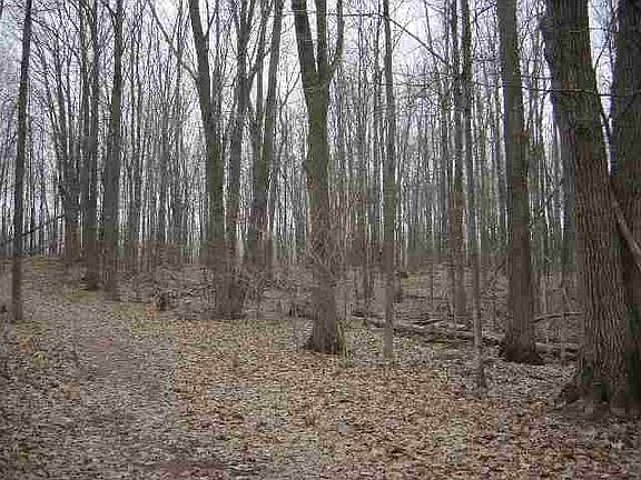 2nd image of 206274 Driftwood Ln