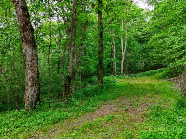 233 Woodland Springs Trl #14, Boone, NC 28607