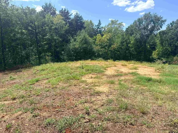 1141 Rollingwood Dr, Bullard, TX 75757