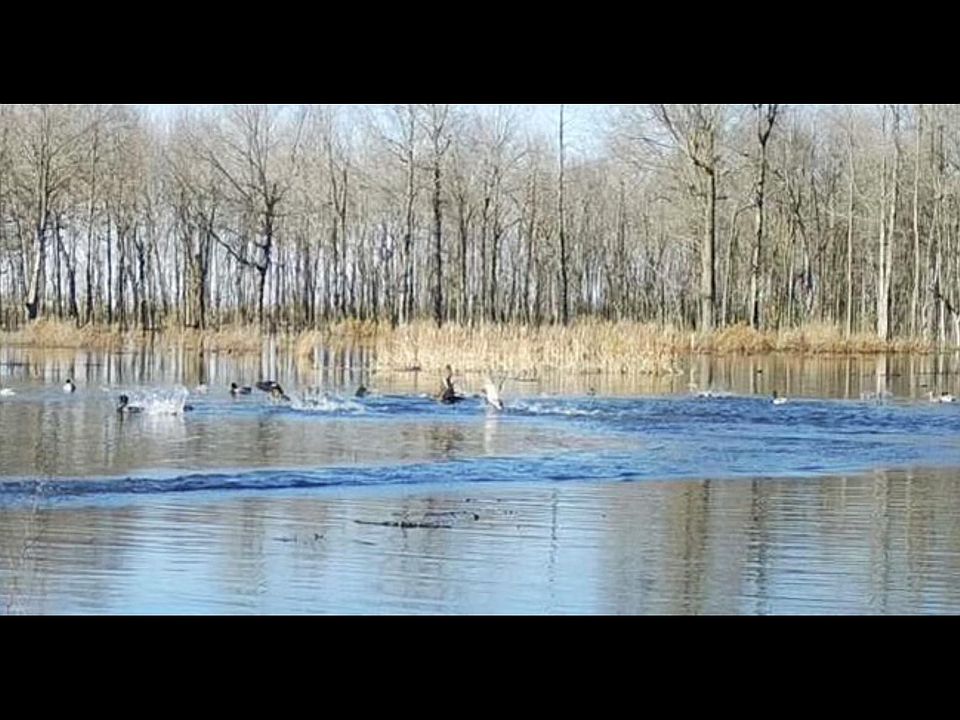 0 Lawrence Rd 60302, O'kean, AR 72449 MLS 24000980 Zillow