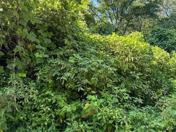 0 Varnell Ave NE #15, Roanoke, VA 24012