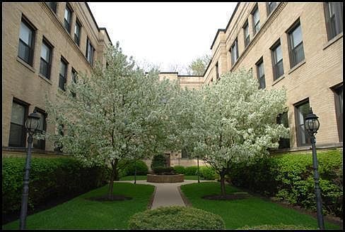 1st image of 3518 N Broadway St #1S