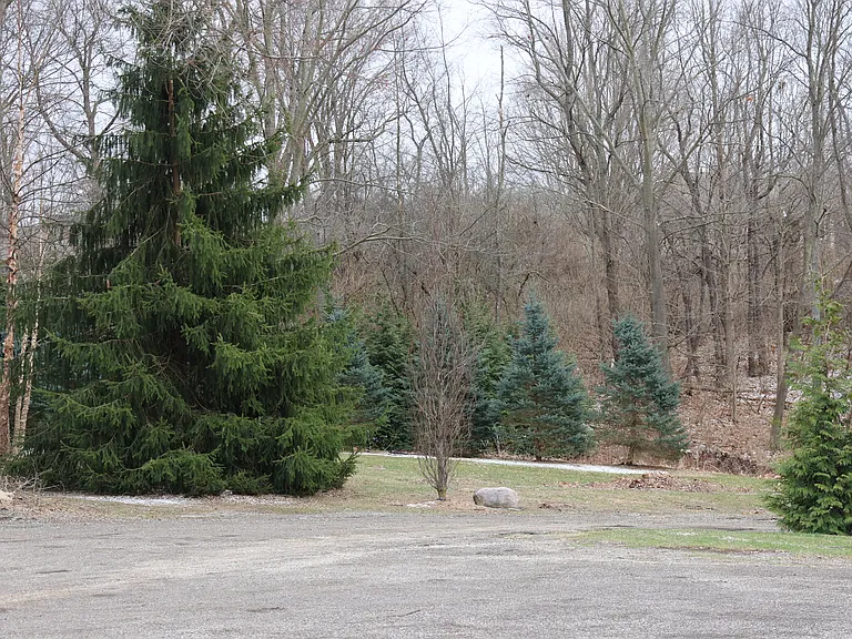 Torrey Rd — Photo 11