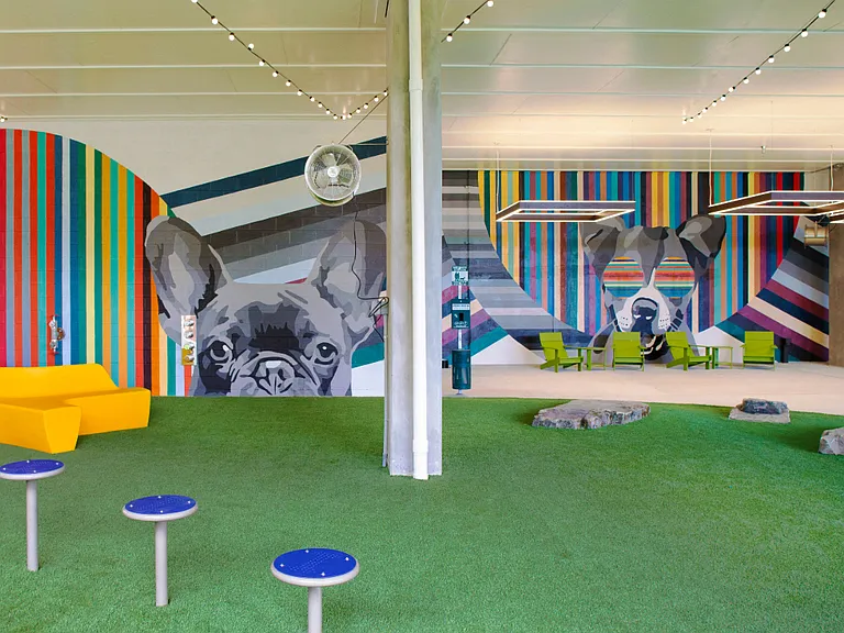 South Building Pet Park