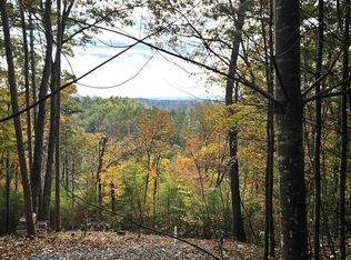 157 Roaring Forks Ln, Ellijay, GA 30540
