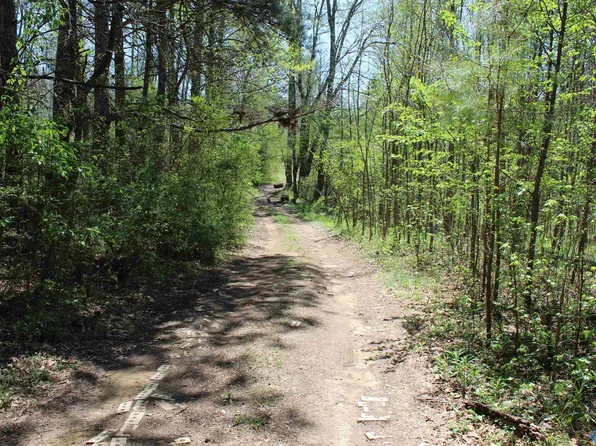 4.8 County Road 122, Fort Payne, AL 35968