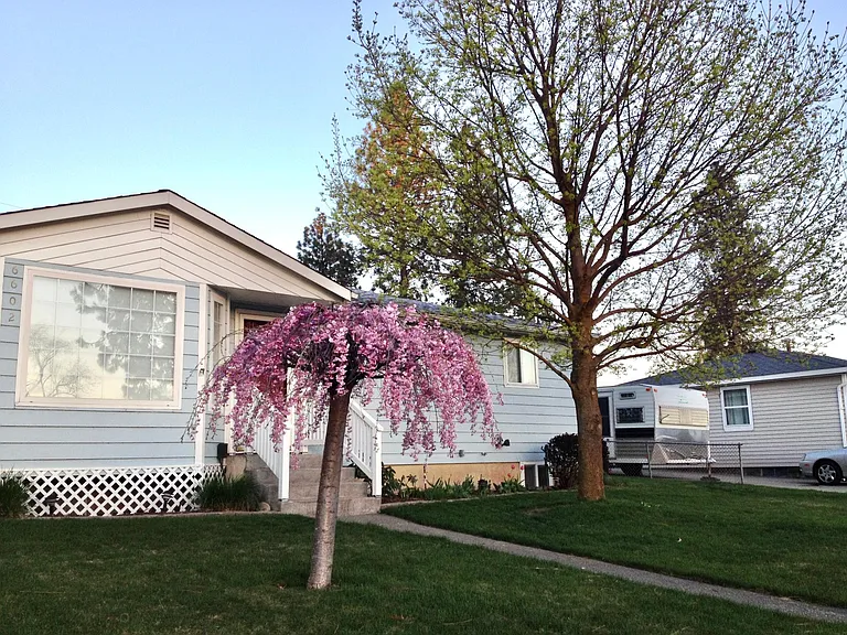 Early Spring
