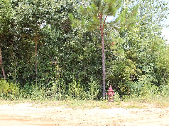4th image of 4.25 Ac Xxx Hwy #90