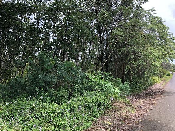4th image of Uilani Dr Lot 4