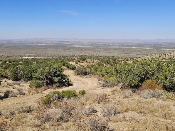 P Werner Way Vic 140th St E, Valyermo, CA 93563