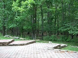 Wooded Backyard