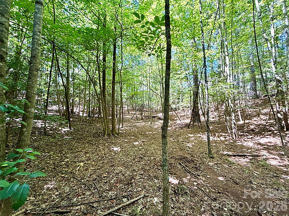 3rd image of 283 Rivercliff Dr