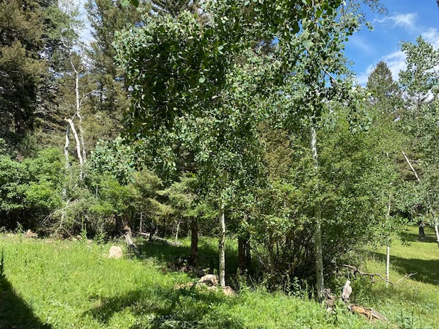 Gorgeous Mountain Estate — Photo 4