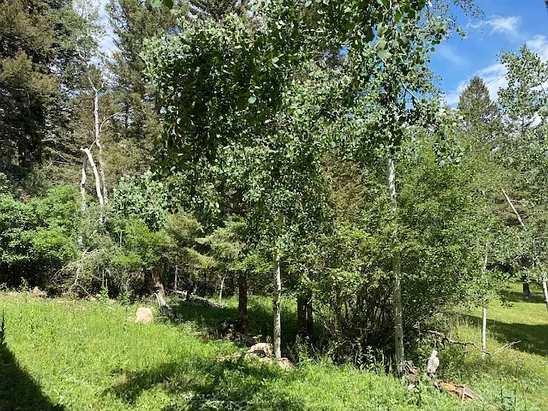 30856 Kings Valley Way — Photo 4