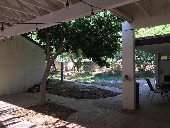 Common back yard area