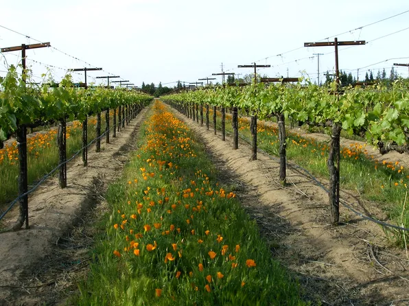 141 Lucas Rd, Lodi, CA 95242