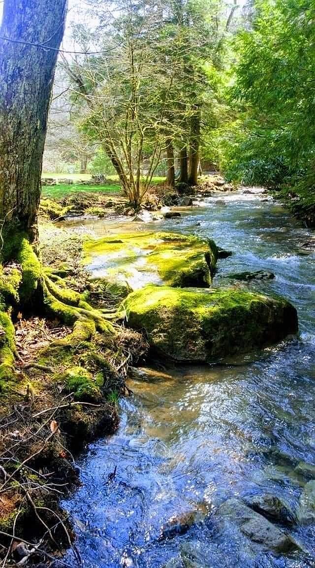 27 Marley Ln, Coalton, WV 26257 MLS 10151960 Zillow