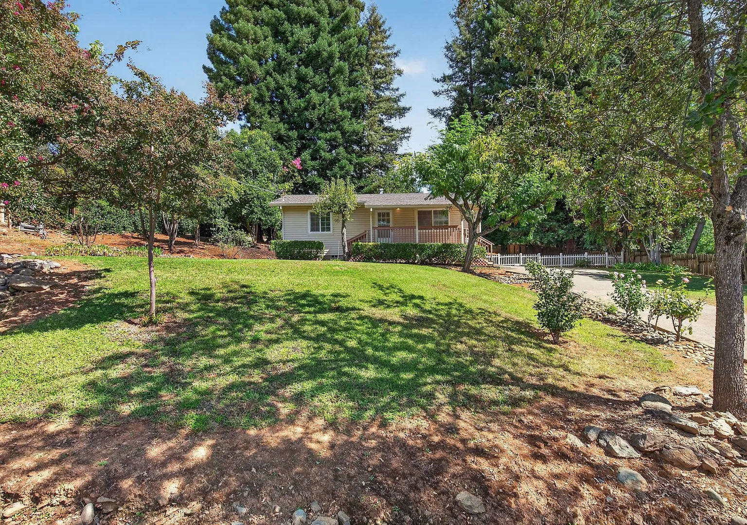 A Cottage in the Redwoods — Photo 2