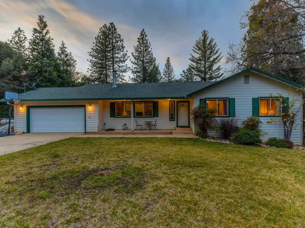 15865 Pioneer Creek Rd, Pioneer, CA 95666