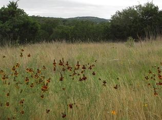 58 Dodder Ln, Spring Branch, TX 78070