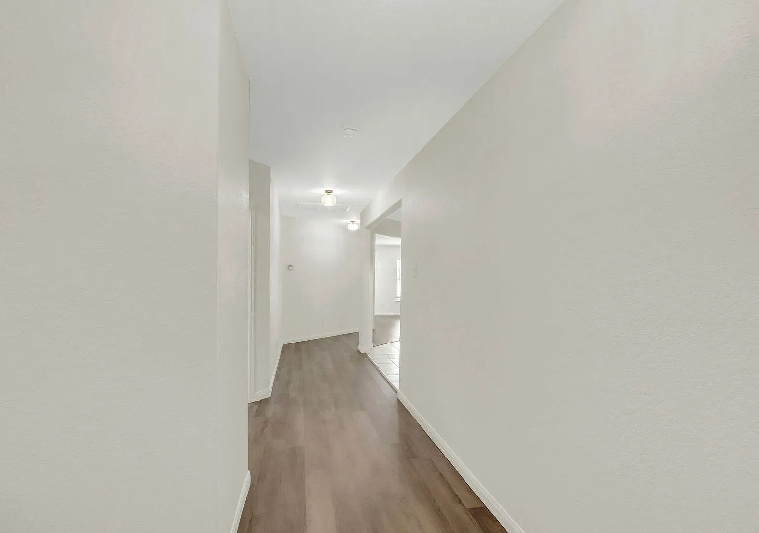 Free Application Fees! — Photo 3