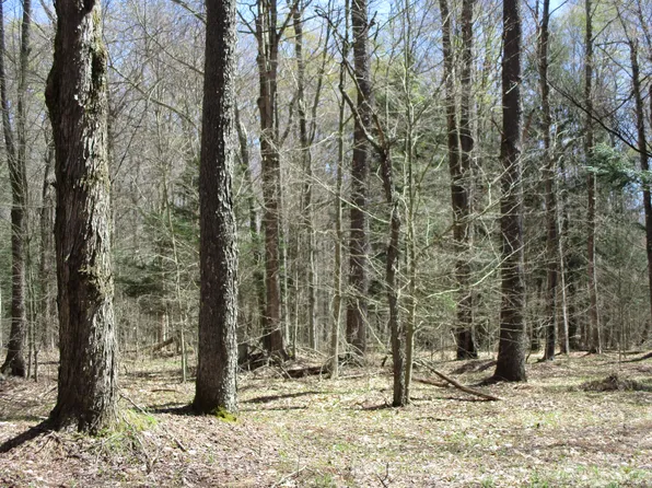 Off Bingham Rd, Cyclone, PA 16726