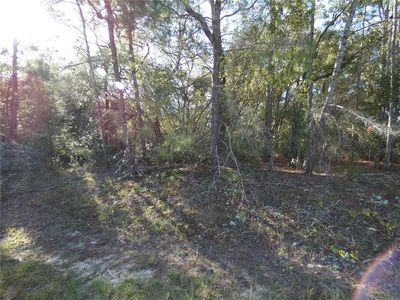 7809 N Jamaica Dr Lot 2, Dunnellon, FL, 34433