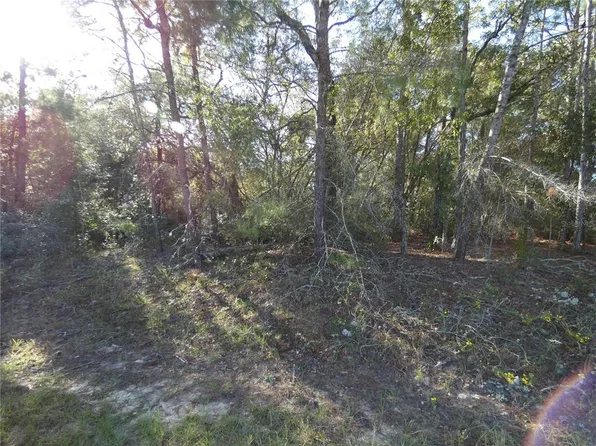 7809 N Jamaica Dr Lot 2, Dunnellon, FL 34433