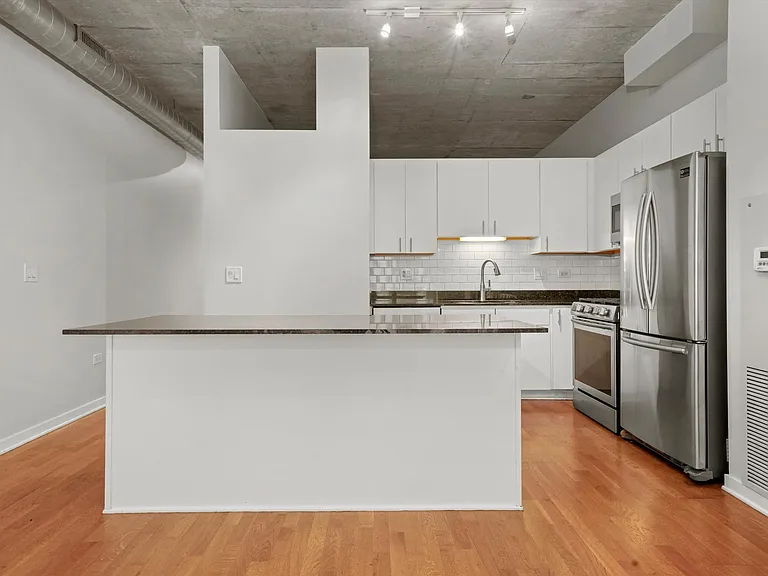 700 N Larrabee St #1004 — Photo 8