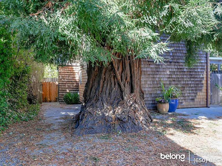 2223 Ward St #B — Photo 4