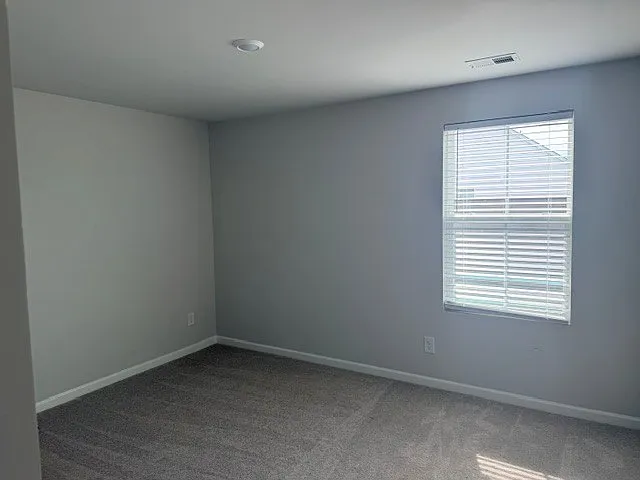 204 Pine Crest View Dr — Photo 14