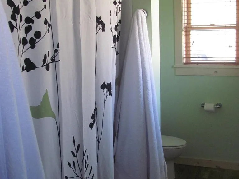 Main Level Guest in suite Bathroom with shower !