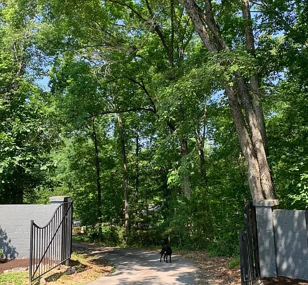 316 Carter Dr — Photo 2