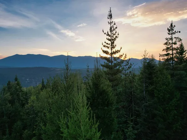 Nna Two Tail Rd, Bonners Ferry, ID 83805