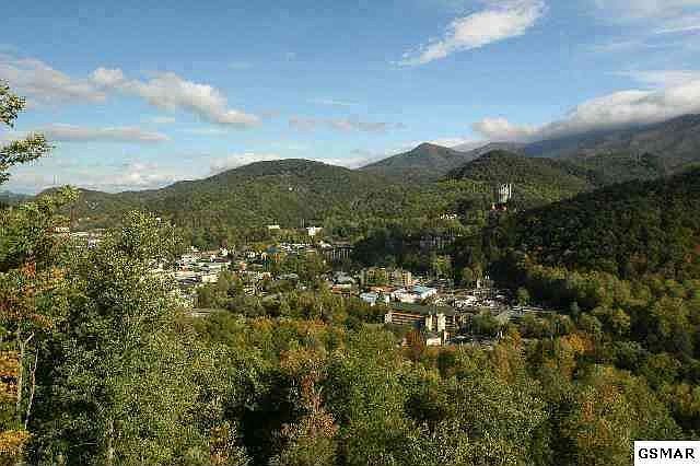 Gatlinburg View