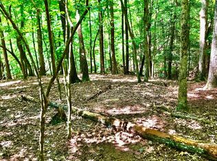 Opaque Way, Ellijay, GA 30540