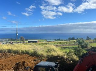 44-2906 Kalopa Rd, Honokaa, HI 96727