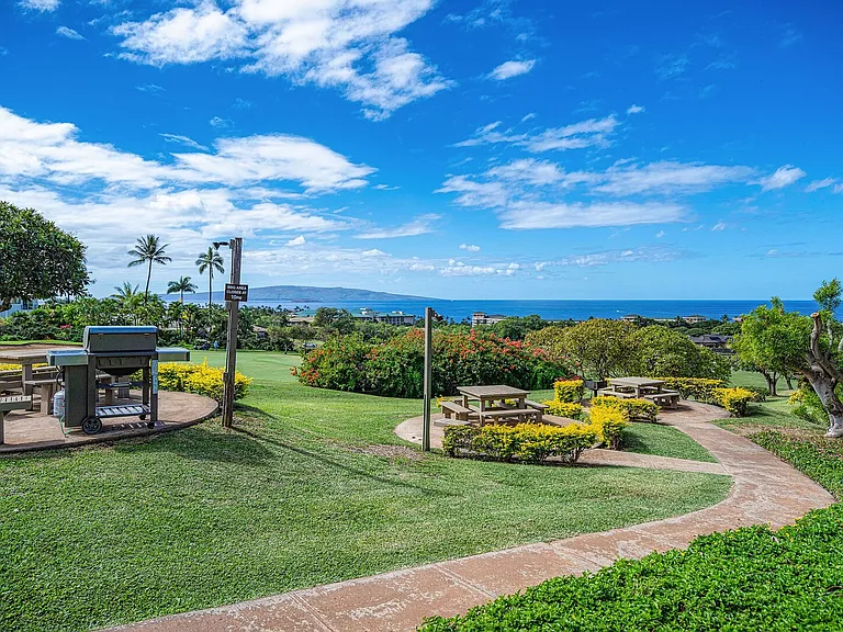 Wailea Ekolu Pl — Photo 44