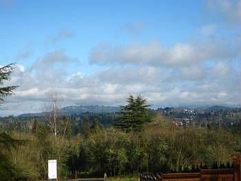 2nd image of 17072 Chapin Way
