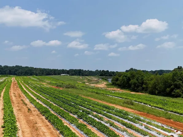 1780 County Road 42, Steele, AL 35987