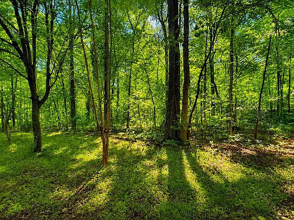4th image of 2018 Ramblewood Dr #3