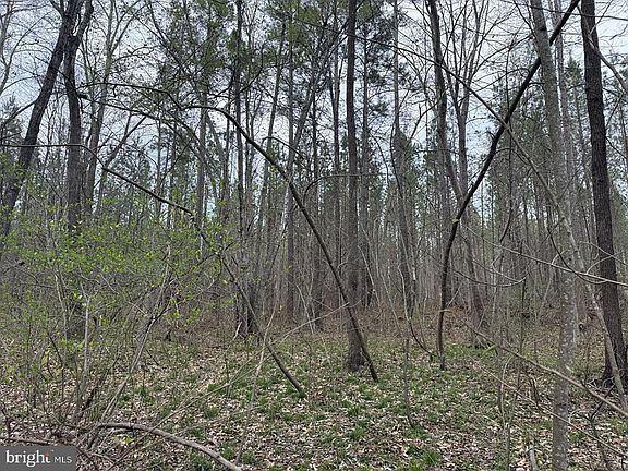 4th image of Dodson Rd Tract C117