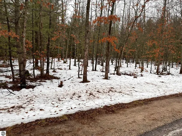 NULLF Albrecht Rd, Interlochen, MI 49643