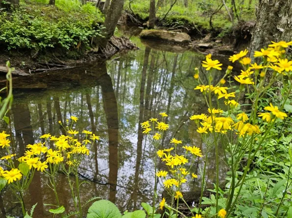 0 Big Mine Rd, Palmer, TN 37365